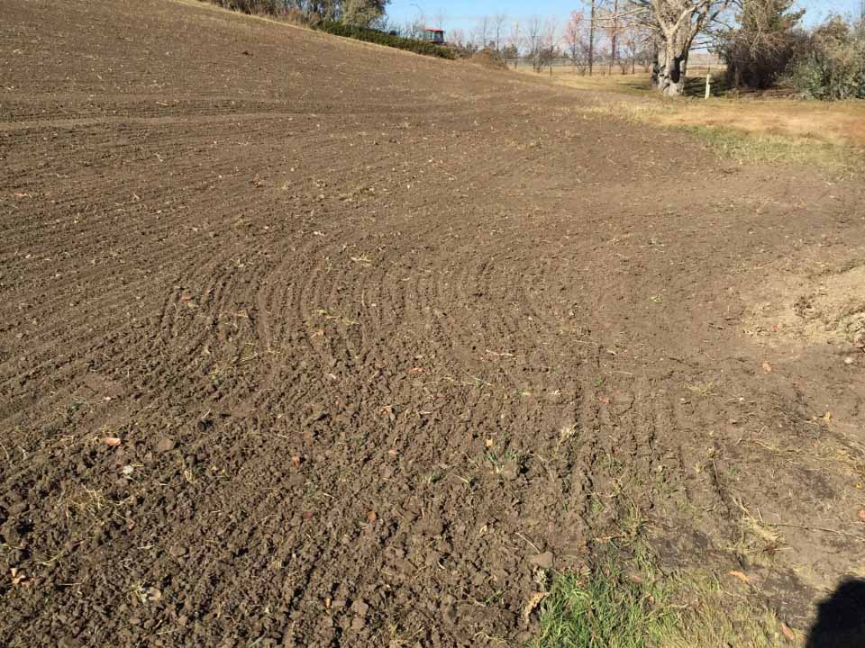 SaskPower Greenhouse Hill Clean Up